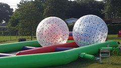HAMSTER BALL RACE HAMSTER BALL RACE